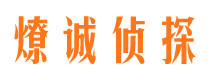 青县市婚外情调查